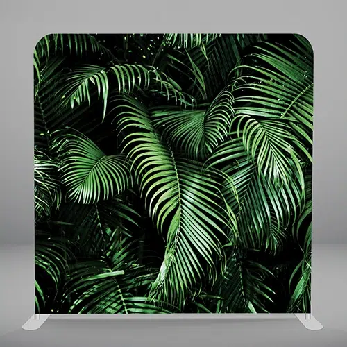 palms
